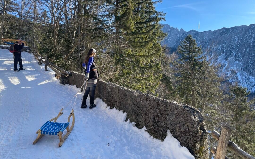 Thrills on the Slopes: Unleashing the Joy of Sledging Adventures with video